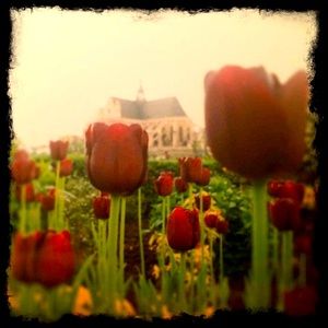 Original Photo Art Print